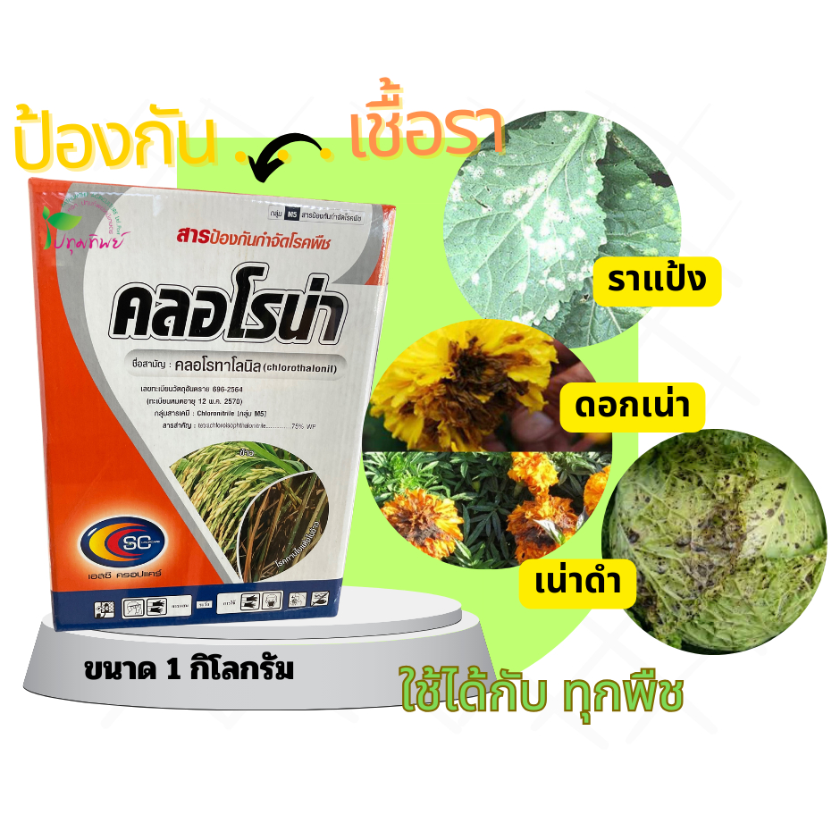 คลอโรน่า คลอโรทาโลนิล ........75 %