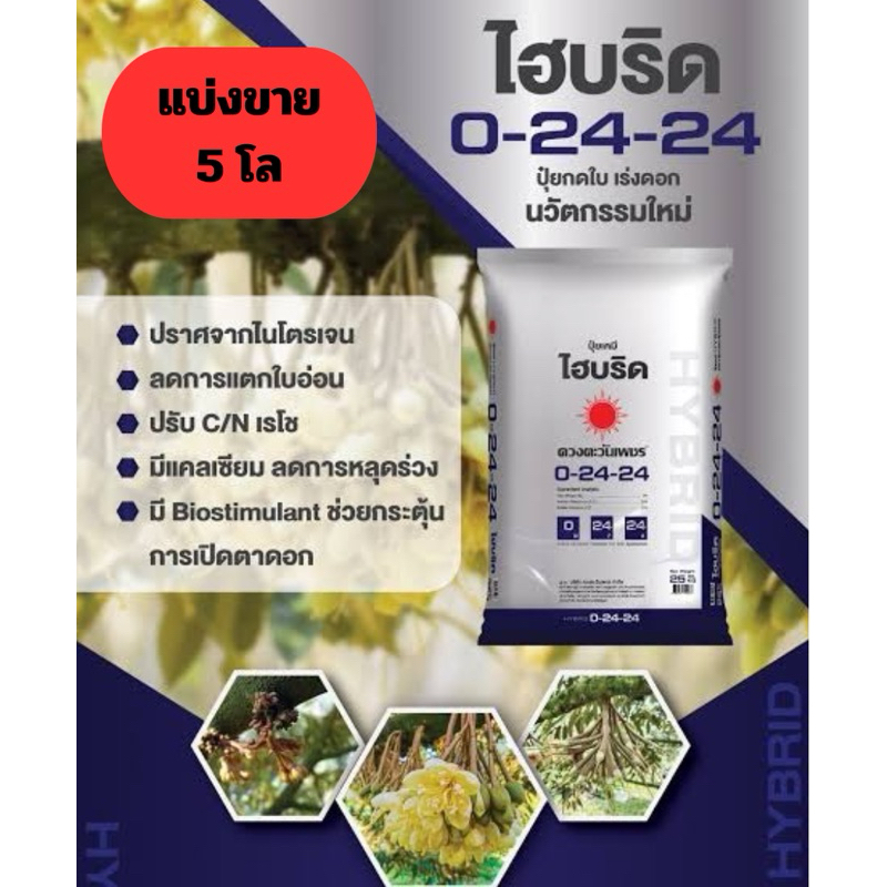 ไฮบริด 0-24-24 แบ่งขาย 5 โล(บรรจุใส่ถุงซิป )ปุ๋ยดวงตะวันเพชร ปุ๋ยนวัตกรรมใหม่ #ปุ๋ยกดใบ #เร่งดอก สูต