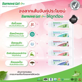 [หลอดใหญ่] Burnova Gel Plus Aloe Vera/Plnkton/Dragon’s Blood/Snow Algae เบอร์นโนว่า เจล พลัส อะโลเวล่า/แพลงก์ตอน/ดราก้อน