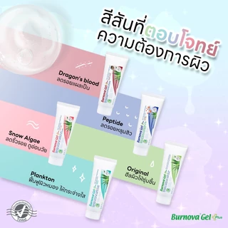 [หลอดใหญ่] Burnova Gel Plus Aloe Vera/Plnkton/Dragon’s Blood/Snow Algae เบอร์นโนว่า เจล พลัส อะโลเวล่า/แพลงก์ตอน/ดราก้อน