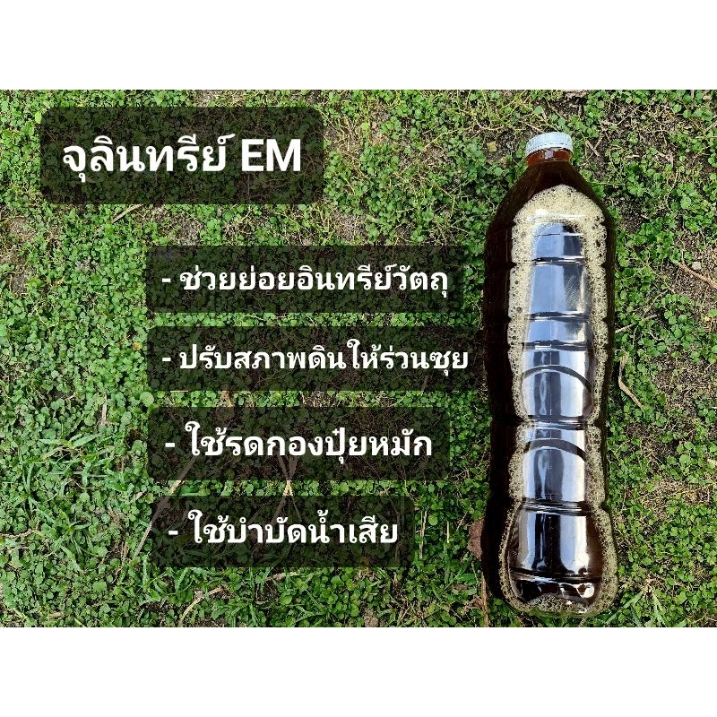 จุลินทรีย์ EM ขนาด 1.5 ลิตร