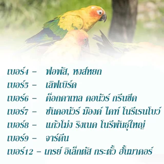 ห่วงขานก ห่วงใส่ขานก ห่วงเปิดนก ห่วงใส่ขานกแก้ว เปิด-ปิดได้ สีทอง/สีเงิน ใช้ดี 4-15mm