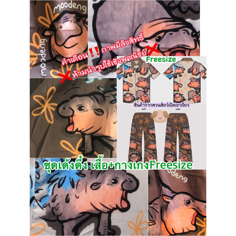 เสื้อยืดหมูเด้ง ทักแชทกดลิ้งสีฟ้า หมูเด้ง ลด 150 ก่อนสั่งซื้อเท่านั้น พร้อมส่ง-สินค้าจากสวนสัตว์เปิดเขาเขียวชลบุรี