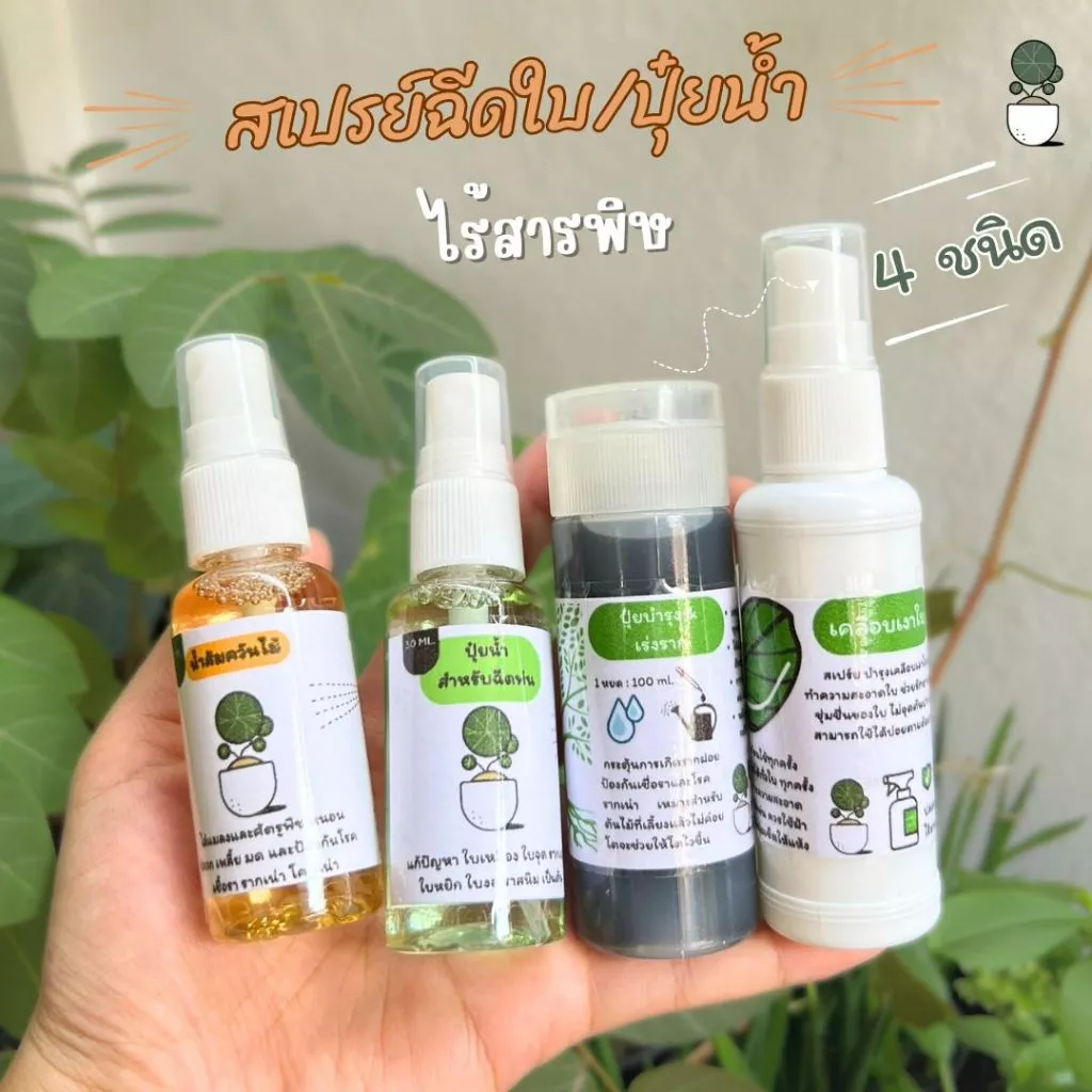 ช่องาม กำจัดเชื้อรา แบคทีเรีย ปุ๋ยน้ำ น้ำส้มควันไม้ ป้องกันเชื้อรา ยาปราบศัตรูพืช ไม้ดอกไม้ประดับ พืชทุกชนิดชีวภาพสเปรย์