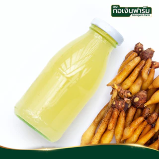 กระชายขาวผง Fingerroot powder ตรากอเงินฟาร์ม