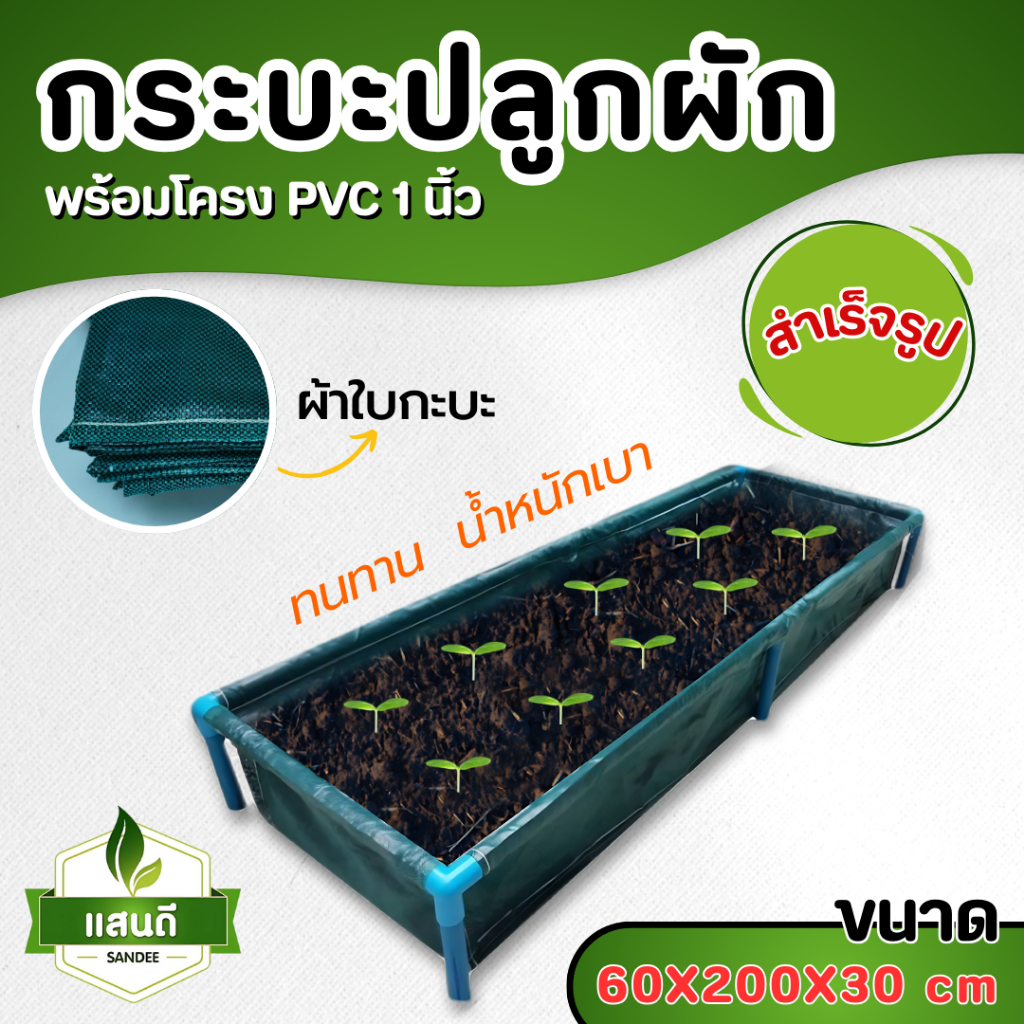 【พร้อมส่ง】กะบะปลูกผัก​ตราแสนดี (พร้อมโครง/ไม่รวมโครง)​ขนาด​ 60x200x30 cm แปลงผักเพาะปลูกผัก