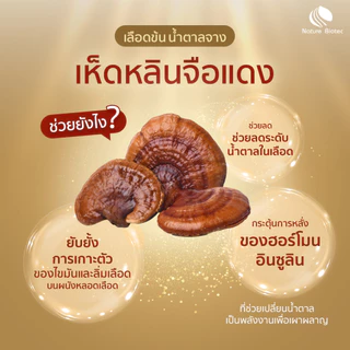 [OFFICIAL] (มีของแถม) LINHZHIMIN หลินจือมิน (20 แคปซูล) เห็ดหลินจือแดง นำเข้าจากเกาหลี 1-3 กล่อง