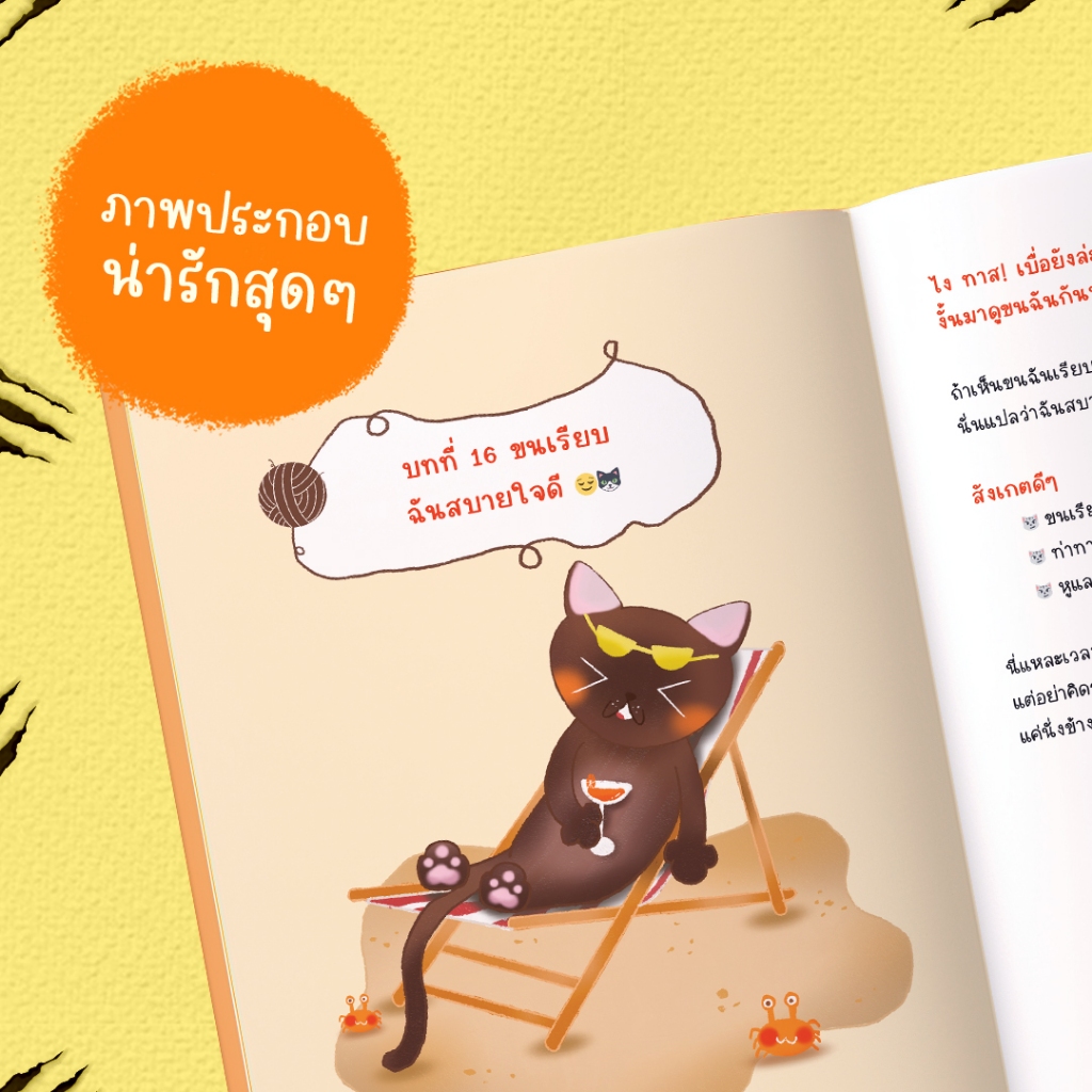 [เพ็ตจนานุกรม] หนังสือ โค้ดลับแมวเหมียว: ถอดรหัส Error 404 เธอจะเป็นทาสที่ดีขึ้น | หนังสือแมว