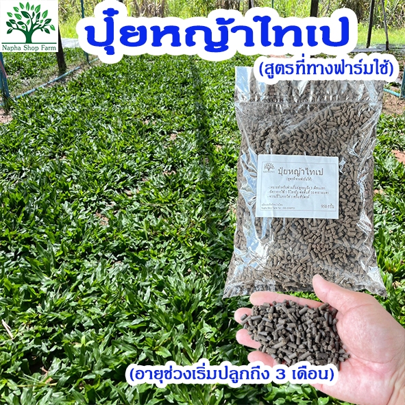 ปุ๋ยหญ้าไทเป บำรุงหญ้าไทเป ระยะ 3 เดือนแรก สูตรที่ทางฟาร์มใช้อยู่ ขนาด 950 กรัม
