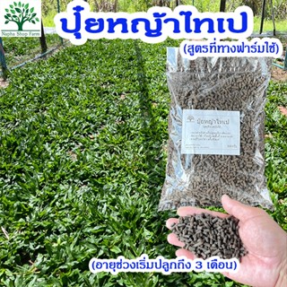 ปุ๋ยหญ้าไทเป บำรุงหญ้าไทเป ระยะ 3 เดือนแรก สูตรที่ทางฟาร์มใช…