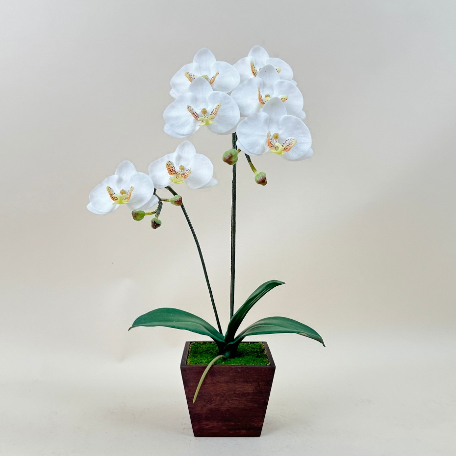 กระถางดอกกล้วยไม้ ดอกไม้ประดิษฐ์ตกแต่งบ้าน งานพรีเมี่ยม สวยเหมือนจริง