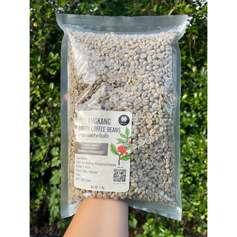 เมล็ดกาแฟสาร อราบิก้า Arabica Green Bean เกรดA-AA ขนาด(1กิโลกรัม)1,000กรัม WET Process ดอยอ่างขาง จังหวัดเชียงใหม่