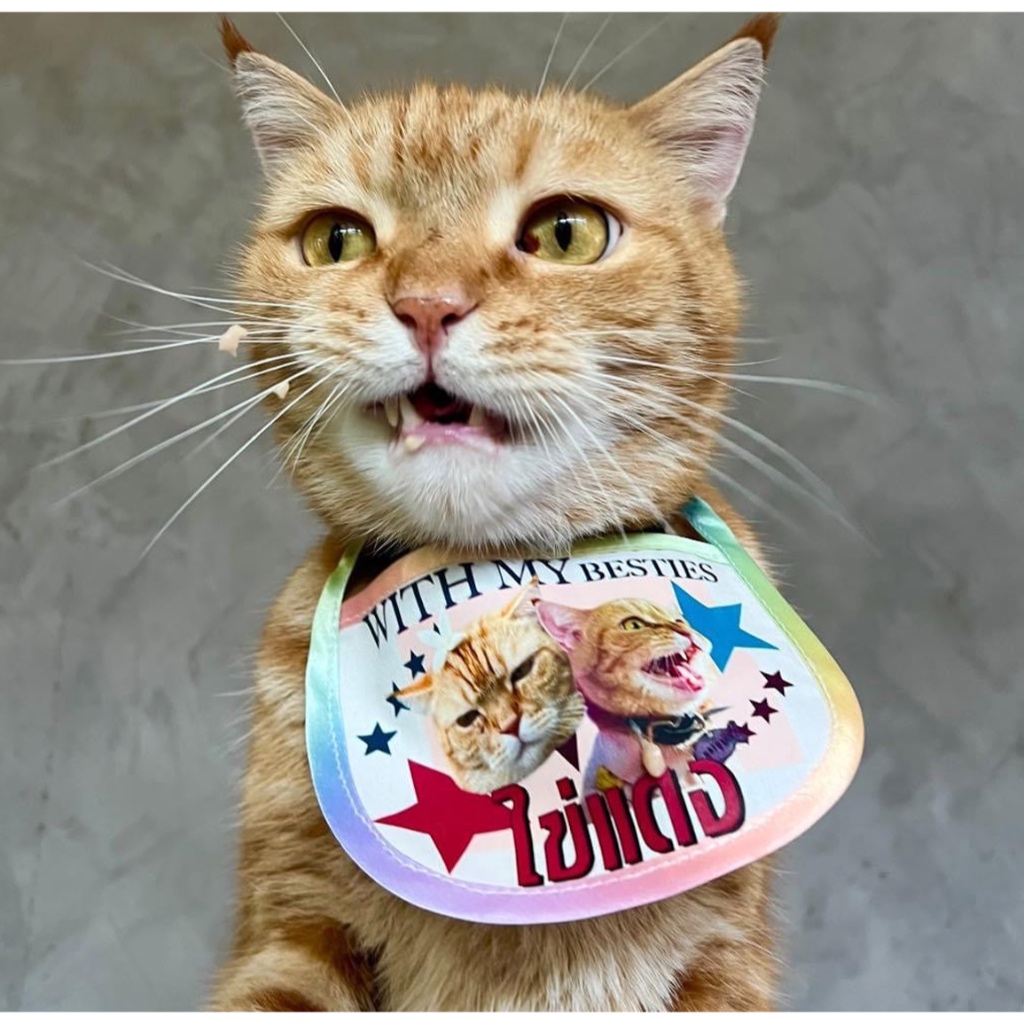 Customized-BIB-ผ้าผูกคอหมาแมว>>>>สามารถเปลี่ยนรูปและข้อความได้**ส่งรูปมาทาง INBOX ได้เลย