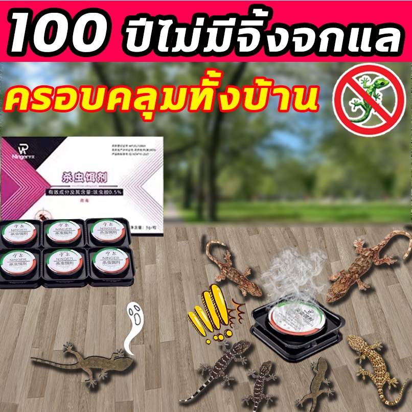 จิ้งจกทั้งรังตายหมด ยาฆ่าจิ้งจก ไล่จิ้งจก ไล่ตุ๊กแก จิ้งจก ยาจิ้งจก ฆ่าจิ้งจก 6แคปซูล/กล่อง ดึงดูดจิ้งจกทุกทิศทุกม