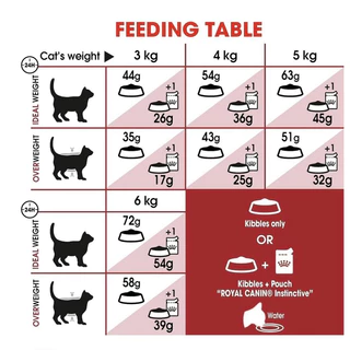 Royal Canin Fit (แบ่งขาย) อาหารแมวโตเลี้ยงปล่อย ชนิดเม็ด