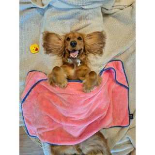 พอว์พอว์ ผ้าเช็ดตัวไมโครไฟเบอร์สัตว์เลี้ยง PAWxPAW Pet Towel ขนาด 50x90 cm