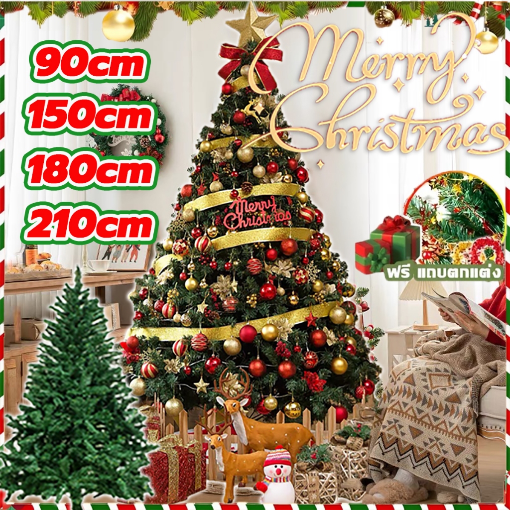 ส่งใน24ชั่วโมง! ต้นคริสต์มาส ขนาด 90/150/180/210 cm ทุกต้นมีของแถม ต้นคริสมาสใหญ่ ของตกแต่ง ต้นคริสมาสต์ ต้นไม้ตกแต่งบ้า