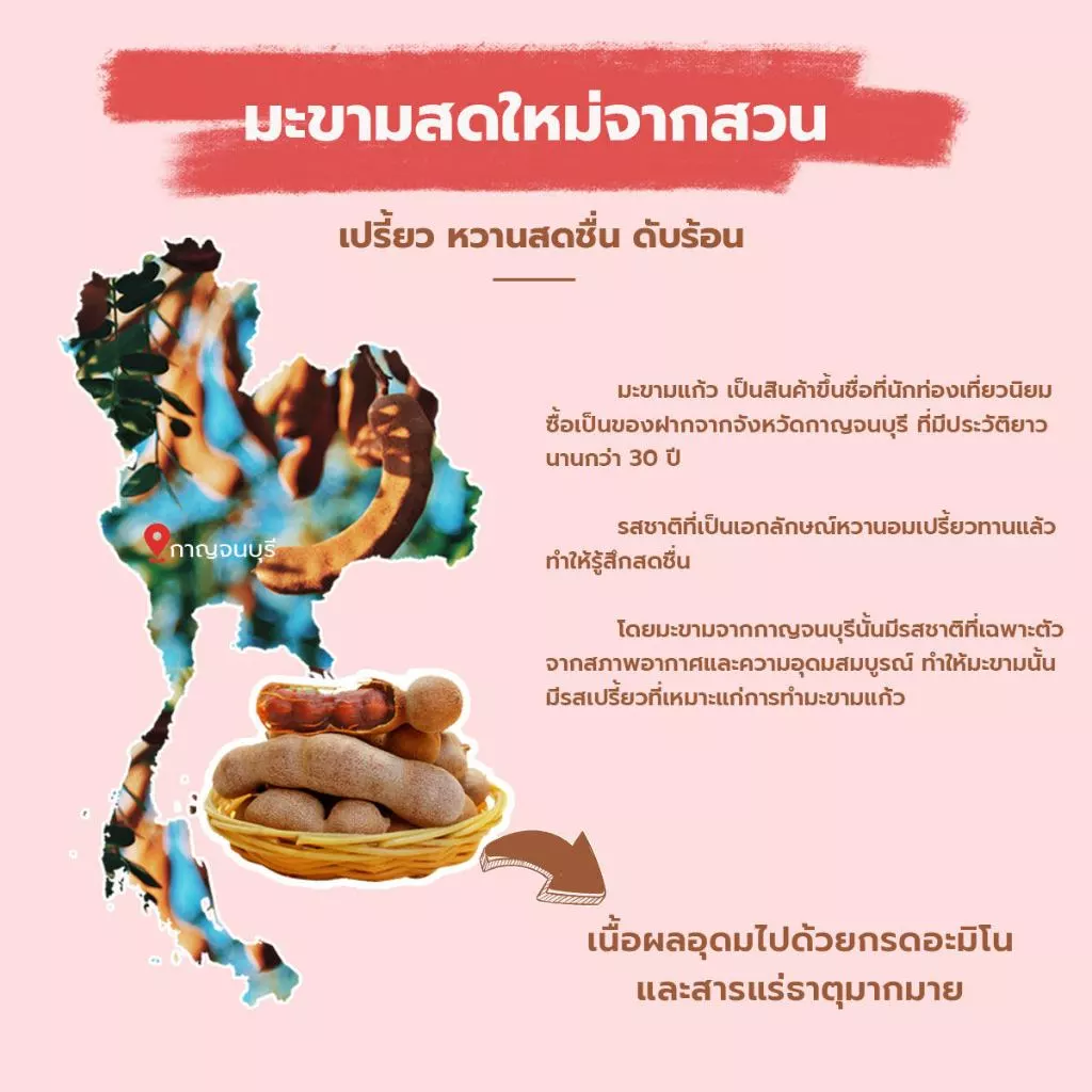 [รวมรุ่น] แก้ว มะขามกวนแก้ว ขนาด 80 กรัม เลือกได้ 6 รส ( ของฝาก กาญจนบุรี ขนมไทย ขนมกินเล่น ) thumbnail 7