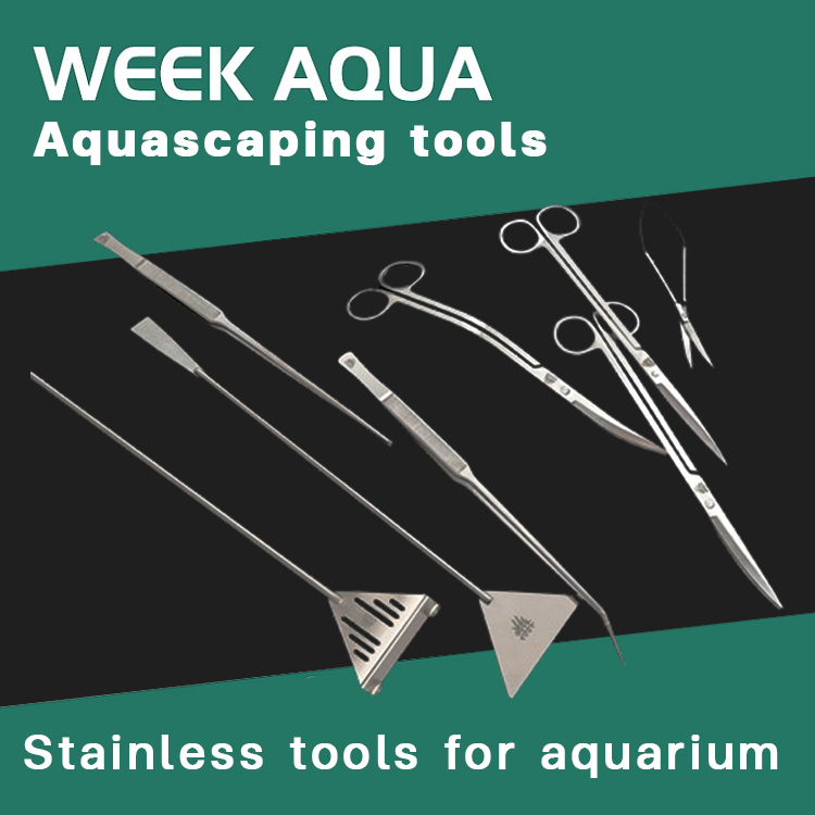 Week Aqua Aquascaping Tools อุปกรณ์ดูแลตู้ไม้น้ำสแตนเลส 304 ทนต่อการเกิดสนิม