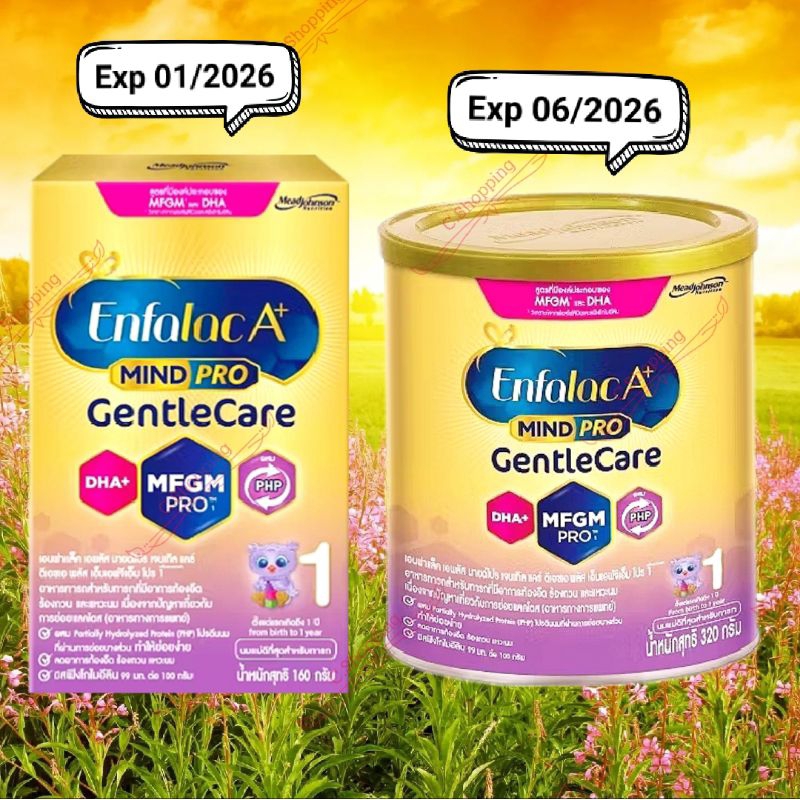 Enfalac A+ Gentle care สูตร 1 & 2 เอนฟาแล็ค เจนทัลแคร์ สูตรย่อยง่าย พัฒนาสติปัญญา นมล้อตใหม่ EXP 2026