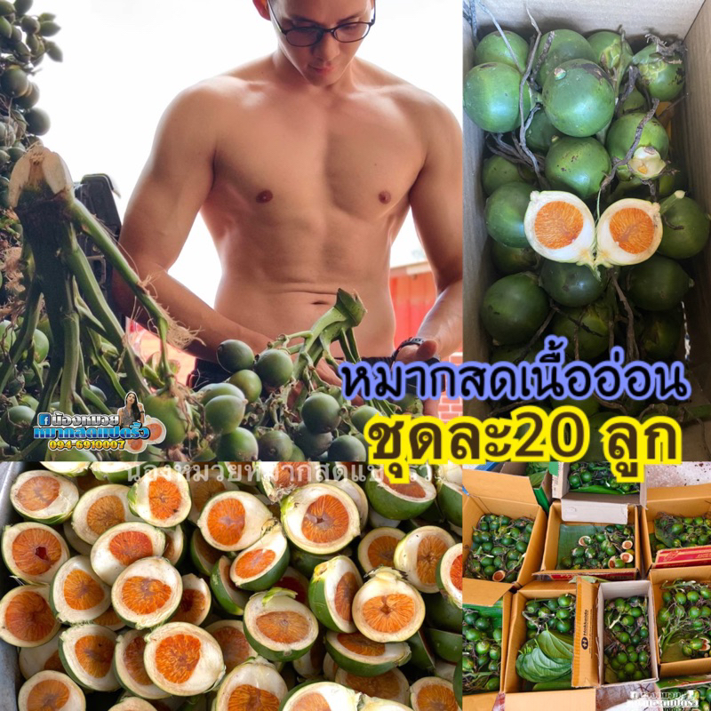หมากสดสวนแปดริ้ว(25ลูก)หน้าอ่อน-อ่อนเต็มรวมขาวแดง