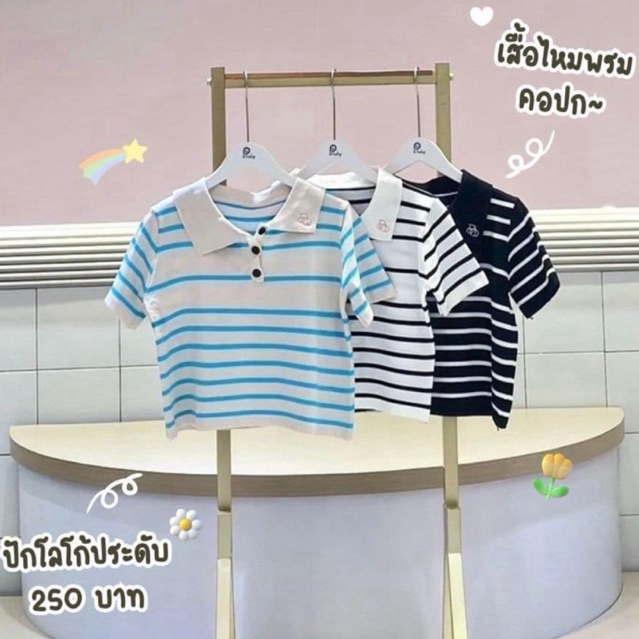 Pradap_rand:เสื้อโปโลครอปลายขวาง