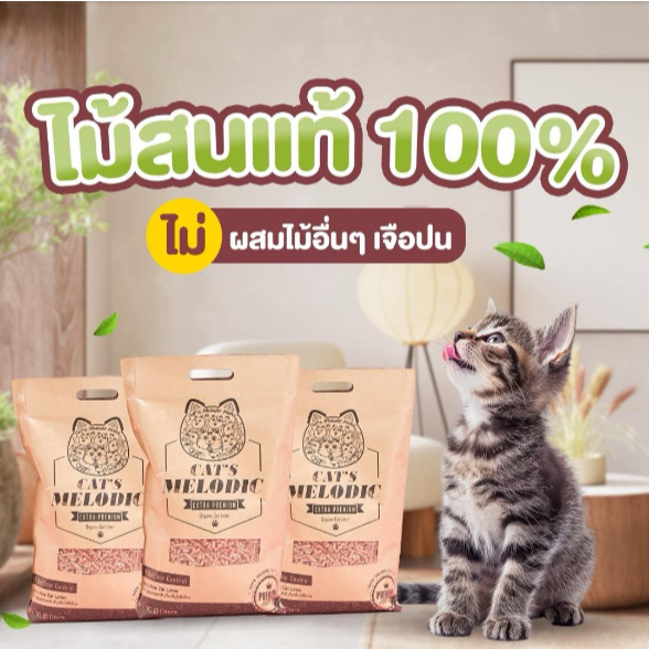 ทรายแมวไม้สน Cat Melody ทรายแมว พรีเมี่ยม organic แตกตัวเป็นผง เก็บกลิ่นได้ดี  ประหยัด ขนาด 10 ลิตร