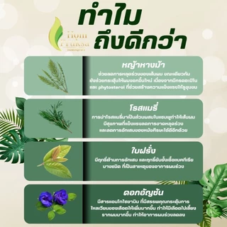 แชมพูปลูกผม แฮร์ เฮอร์เบิล แชมพู Hair Herbal Shampoo ผมดก ลดผมร่วง หอมพฤกษา (Hom Pruksa) ขนาด 290 ml.