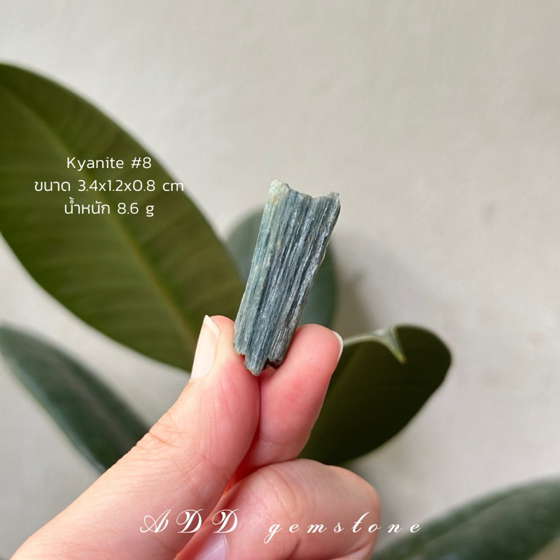 Kyanite | ไคยาไนต์ #8 🪼 #หินดิบ หินปลดหนี้ ขจัดพลังงานไม่ดี - ADD gemstone