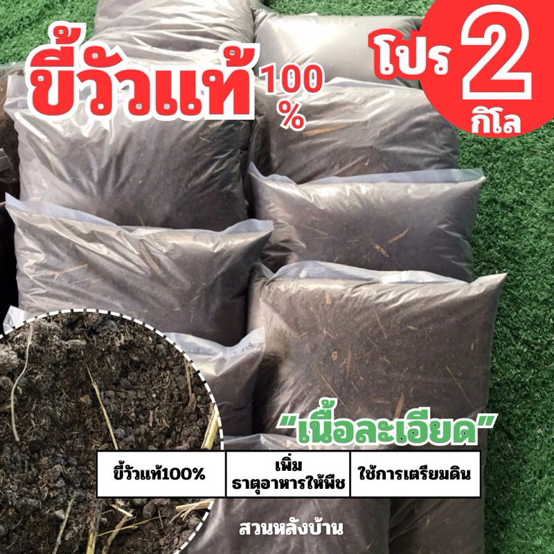 (2กิโล) เนื้อละเอียด ปุ๋ยมูลวัวเเท้100% ปุ๋ยขี้วัว ปุ๋ยวัวนม ปุ๋ยมูลวัวตากเเห้ง