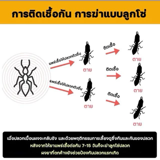 กำจัด ปลวก มด ตายยกรัง 1ลิตรฟรี1ลิตร
