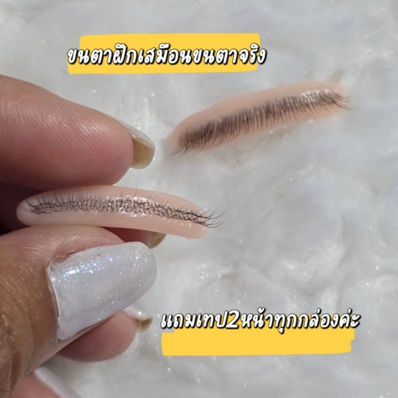 ขนตาฝึกต่อ เหมาะสำหรับช่างมือใหม่ สำหรับฝึกแหวกขนตาฝึกต่อขนตา