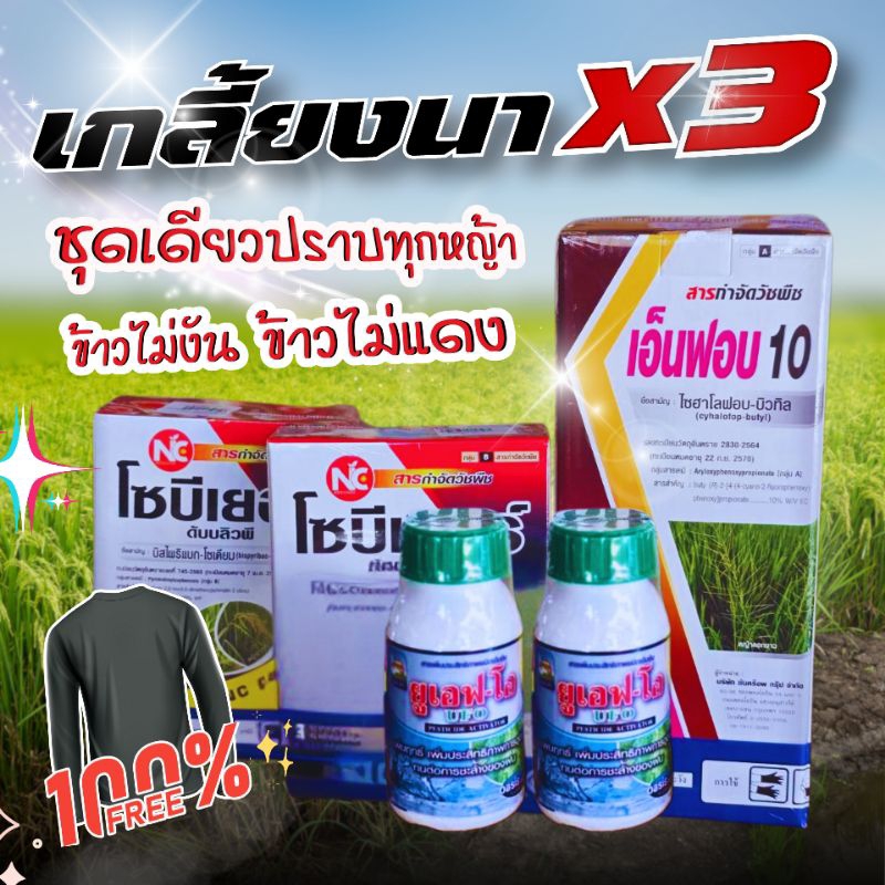 เกลี้ยงนา × 3 ชุดใหญ่ฉีดได้ 10ไร่ แถมเสื้อ 1ตัว อายุข้าวหลังหว่านไม่เกิน 15วัน ชุดเดียวปราบทุกหญ้าในนาข้าว
