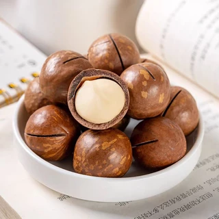 เจ แมคคาเดเมีย อบเนยเม็ดใหญ่เกรดพรีเมี่ยมA++ 500กรัม แถมที่แกะ macadamia สด ใหม่ กรอบ หอม มัน เกรดพรีเมี่ยมA++