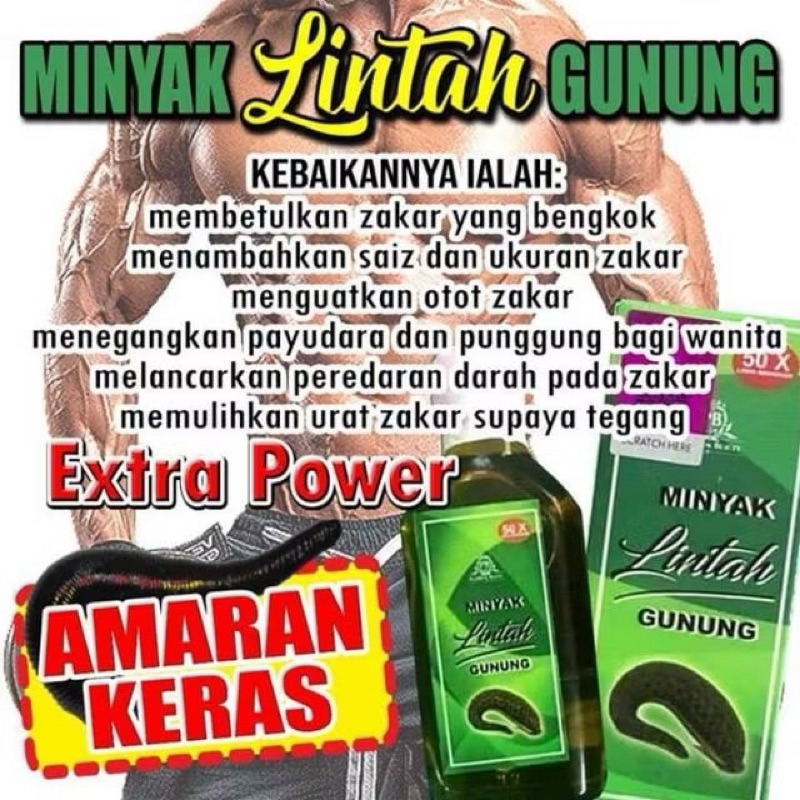 Minyak lintah gunung original