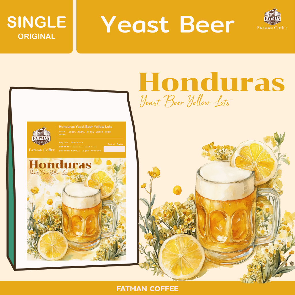 เมล็ดกาแฟคั่วอ่อน Honduras Beer Yeast Yellow Lots (Exotic coffee) กาแฟมี Defect 2-5%