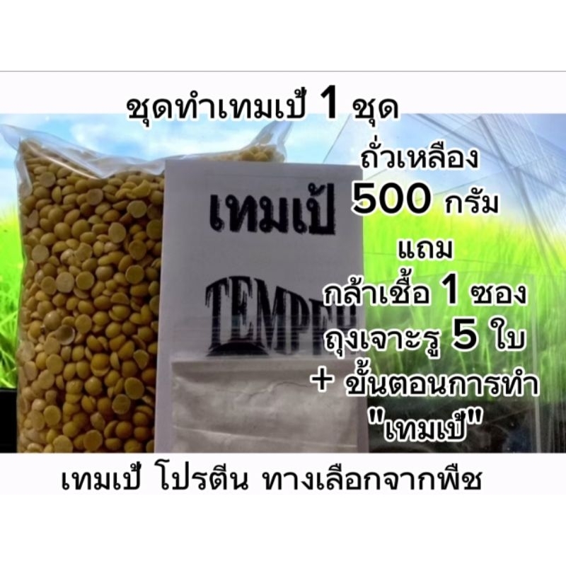 #ชุดทำเทมเป้ (SET 1 ชุด) :  ถั่วเหลือง 500 กรัม, แถมฟรี กล้าเชื้อ 1 ซอง, แถมฟรี ถุงเจาะรู 5 ใบ
