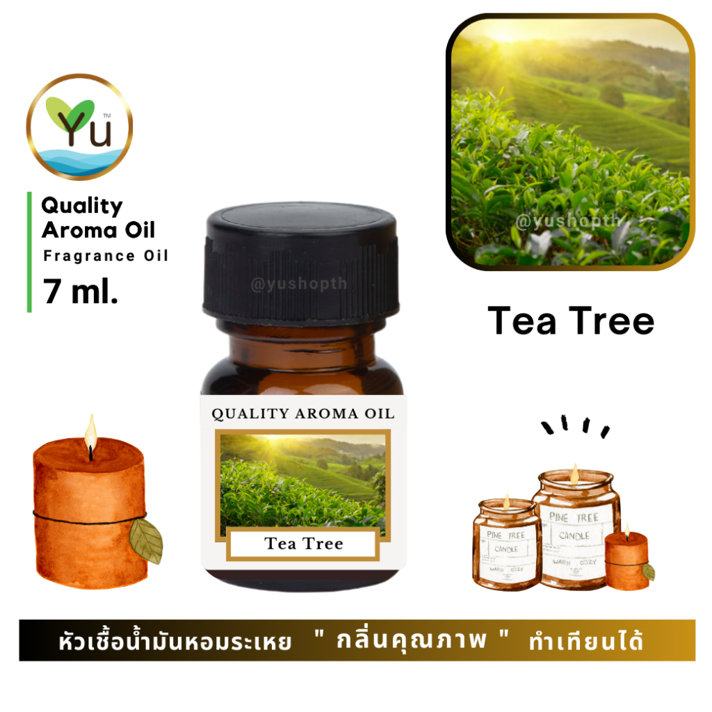 7 ml. กลิ่น Tea Tree (ทีทรี) หัวเชื้อน้ำมันหอมระเหย กลิ่นคุณภาพ ! Quality Aroma Oil เลือกกล่องได้ !