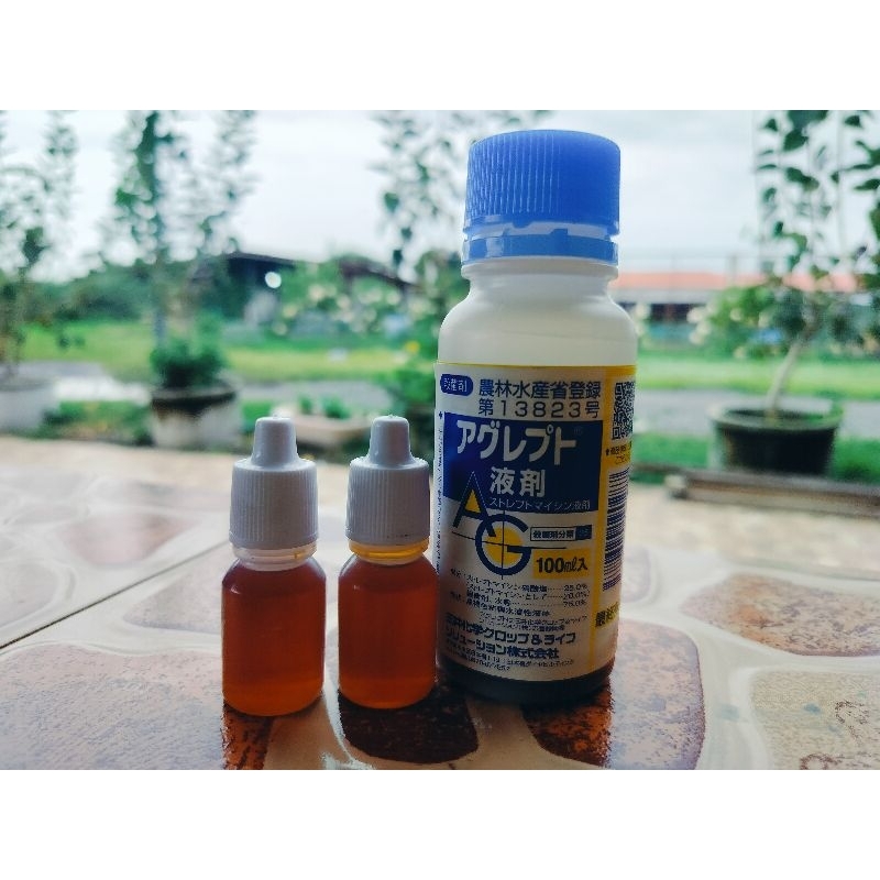 สเตรปโตมัยซิน แบ่งขาย 10 cc สำหรับใช้ในการทำให้องุ่นไร้เมล็ด นำเข้าจากญี่ปุ่นแท้