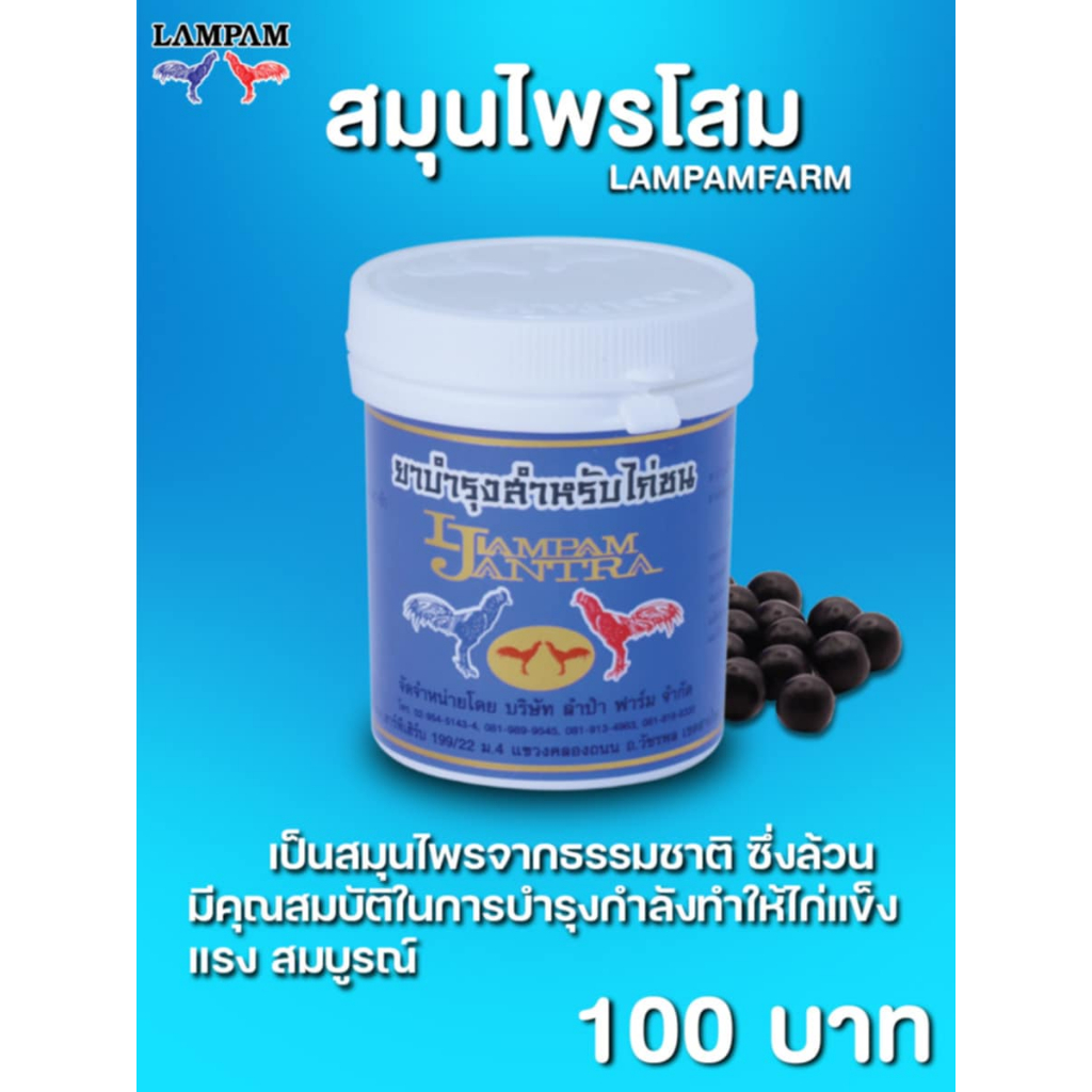 โสมจันทรา สมุนไพรโสม ลำปำ 100 เม็ด อาหารไก่ชน ชุดเลี้ยงไก่ชน กำลังไก่ บินดี