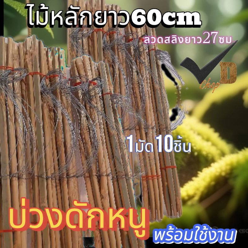 💥บ่วงดักหนูลวดสลิงดักพังพอนไม้หลักยาว60cm ลวดสลิงยาว 27 cmพร้อมใช้งาน