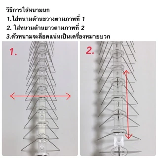 หนามไล่นก💥ที่ไล่นก ไล่นกพิราบ กันนก กันนกพิราบ ที่ กัน นกพิราบ เกาะ หนามกันนก หนามกันนกพิราบ หนามไล่นกพิราบ bird thorn