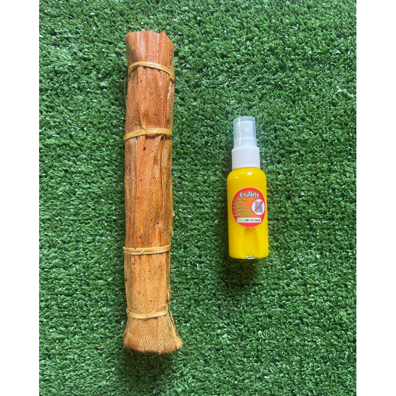 ชุดกับดักหนูโมดิฟาย พร้อมส่ง - รูปที่ 3