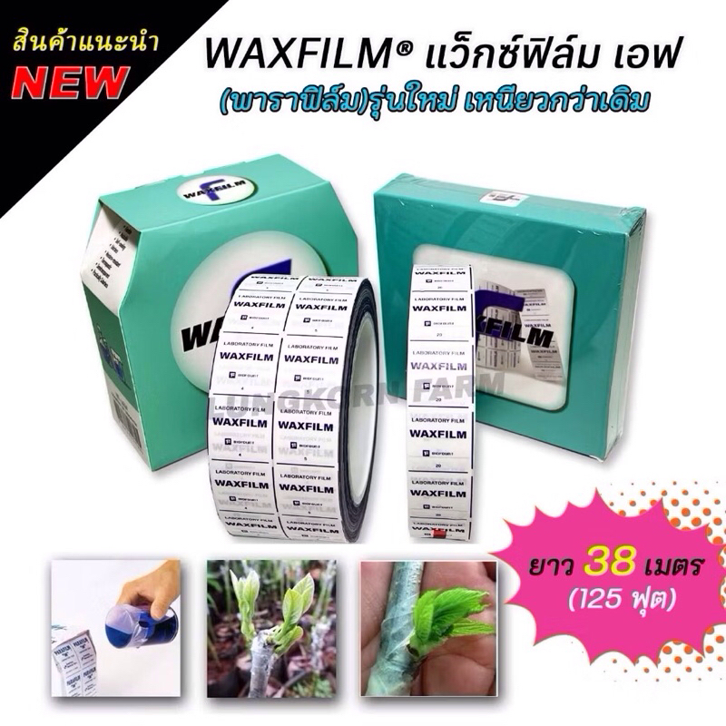 Waxfilm(พาราฟิล์ม)แว็กซ์ฟิล์ม เอฟ รุ่นใหม่ เหนียวกว่าเดิม สำหรับติดตา เสียบยอด พันกิ่งไม้ ขยายพันธุ์ไม้