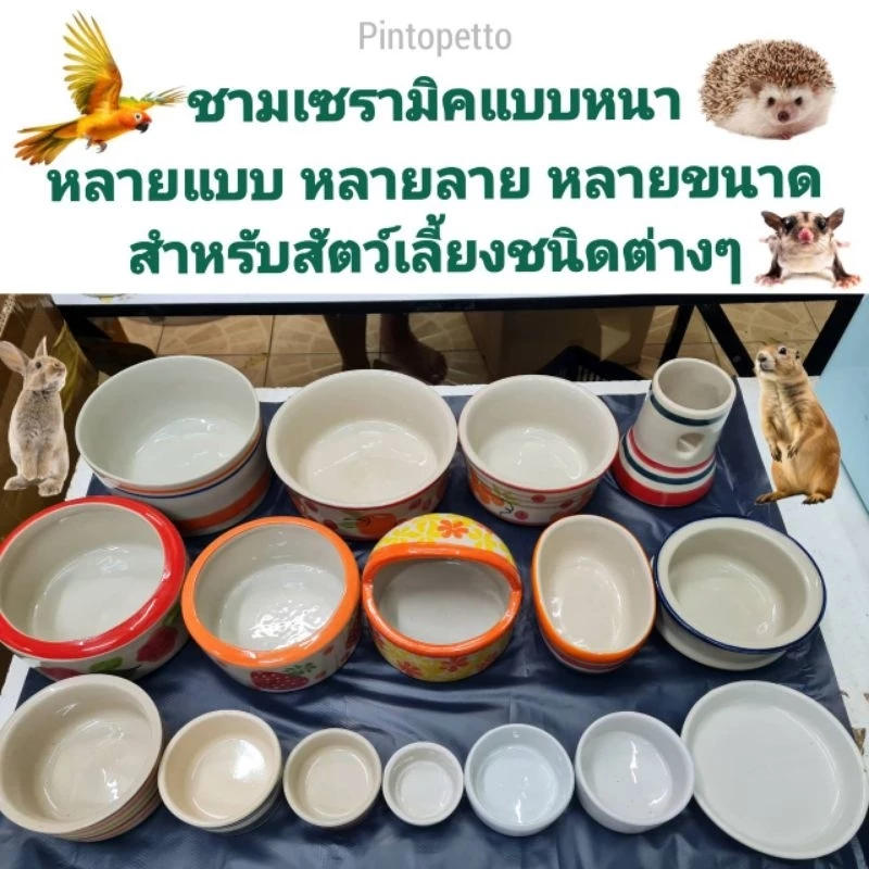 ชามเซรามิคสำหรับสัตว์เลี้ยง ถ้วยอาหารสัตว์เลี้ยง หลายแบบ หลายขนาด อ่านก่อนสั่ง (ส่งคละสี)