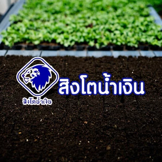 ปุ๋ยค้างคาวอินทรีย์ ตราสิงโตน้ำเงิน 6-3-3+OM10% แบ่งแพคแยก 25 kg. เพจบริษัทแท้ ปุ๋ยทุเรียน
