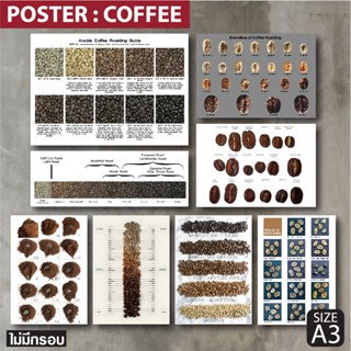 โปสเตอร์กาแฟ เมล็ดกาแฟ การคั่ว การบด  Poster Coffee สำหรับตก…