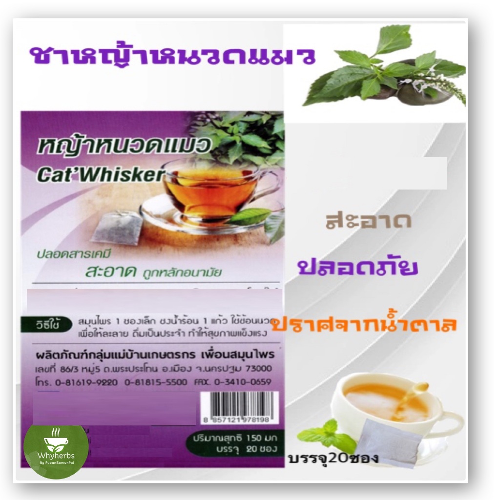 ชาหญ้าหนวดแมว,หญ้าหนวดแมว