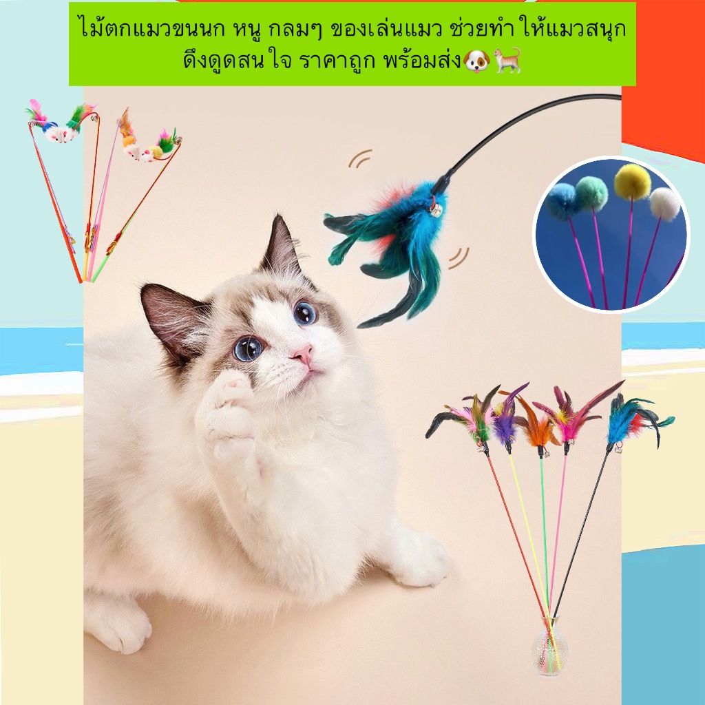 AL-593 ไม้ตกแมวขนนก หนู กลมๆ ของเล่นแมว ช่วยทำให้แมวสนุก ดึงดูดสนใจ ราคาถูก พร้อมส่ง🐶🐈