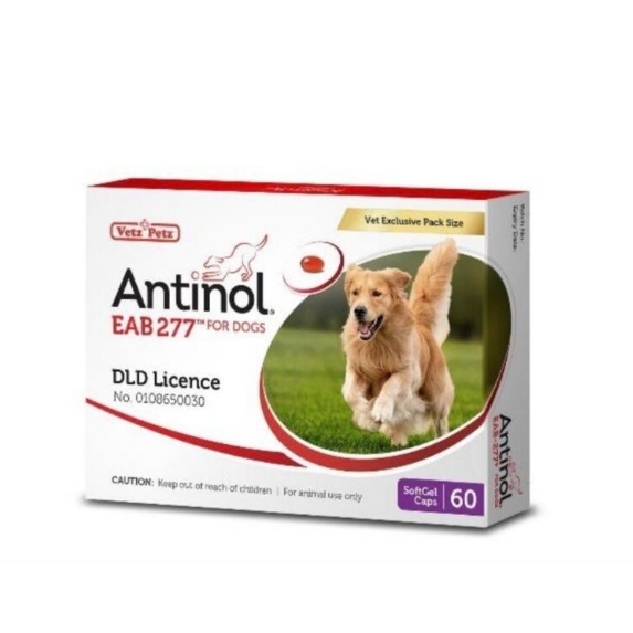 Vetz Petz Antinol Dog แอนทินอล อาหารเสริมไขมัน บำรุงข้อ สำหรับสุนัข 60เม็ด/1กล่อง